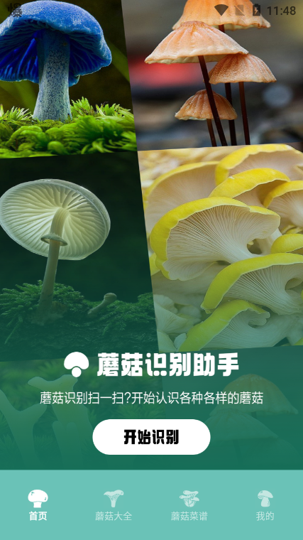 蘑菇识别助手手机软件app截图