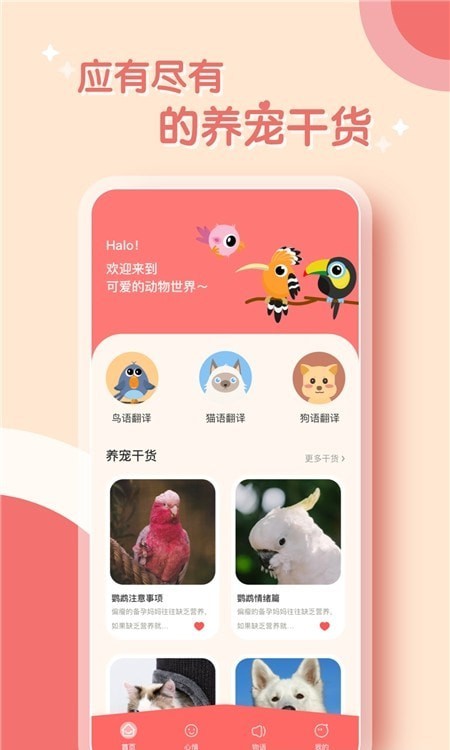 鹦鹉翻译器手机软件app截图