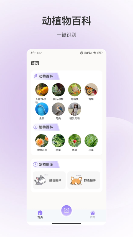 动物识别手机软件app截图