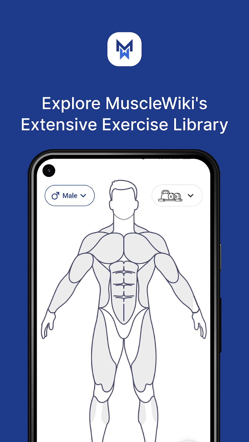 MuscleWiki中文版手机软件app截图