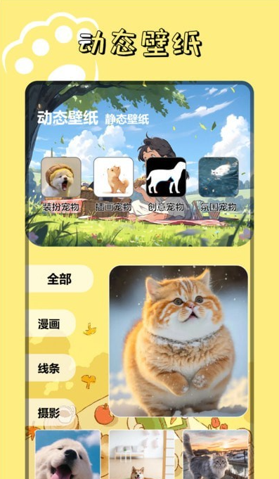 9534乐园手机软件app截图