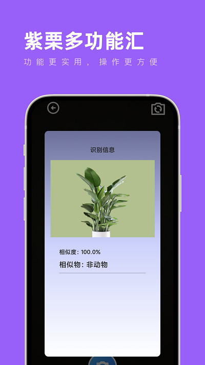 紫栗多功能汇手机软件app截图