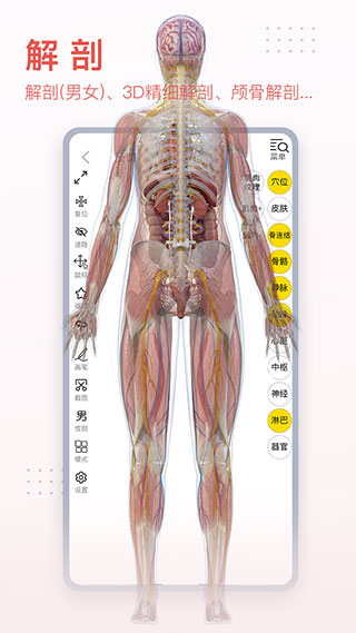 3DBODY解剖手机软件app截图