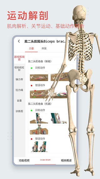 3DBODY解剖手机软件app截图