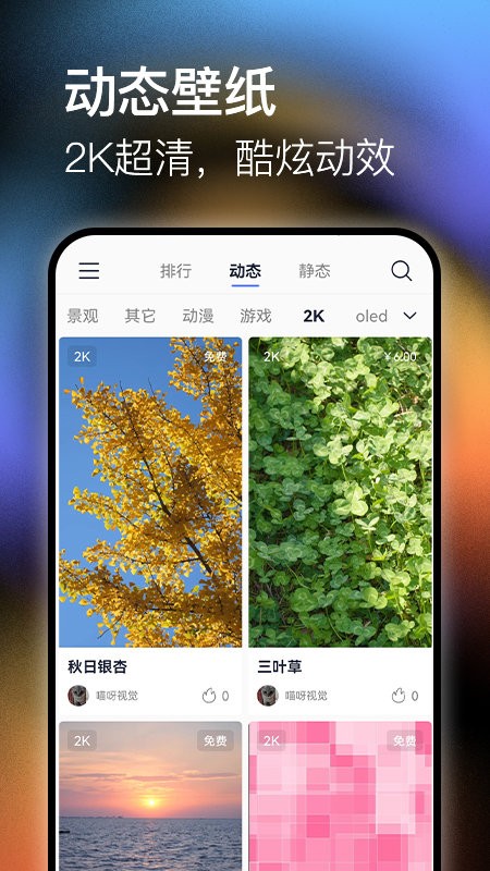 极壁纸手机软件app截图