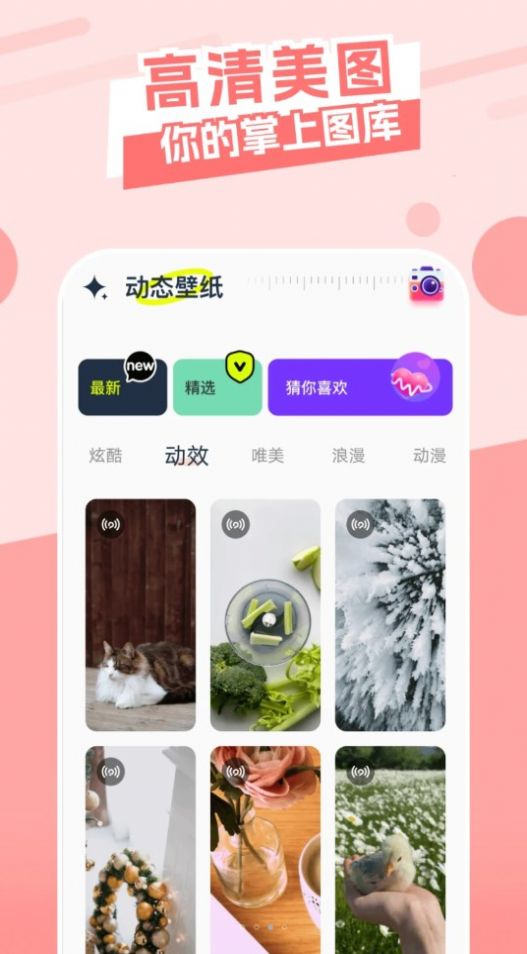 主题库精灵手机软件app截图