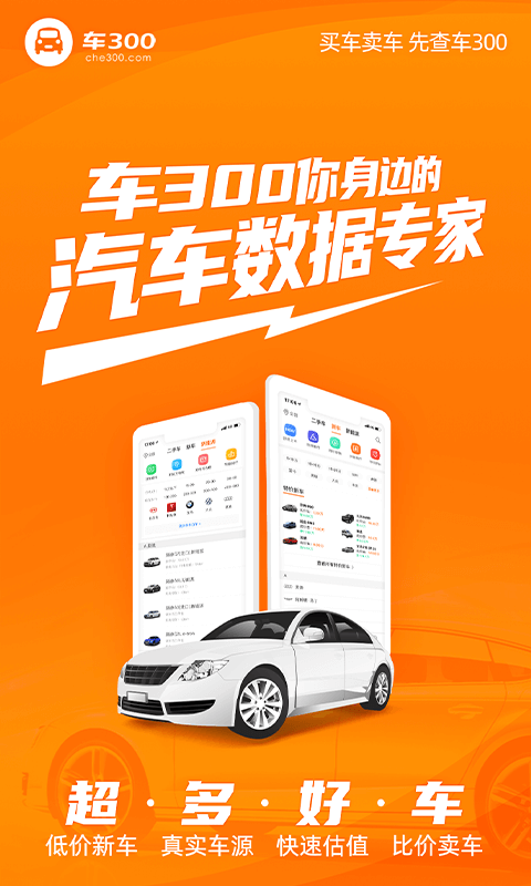 车300二手车手机软件app截图