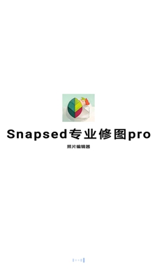 Snapsed专业修图pro手机软件app截图