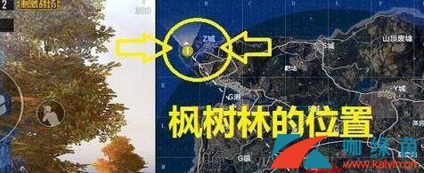 《和平精英》海岛地图秋千坐标位置