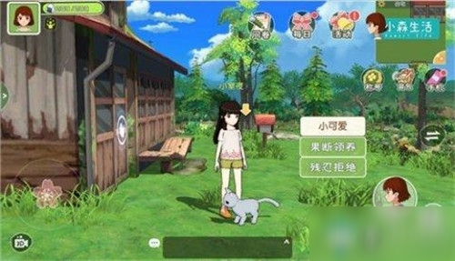 《小森生活》饲养猫咪方法介绍