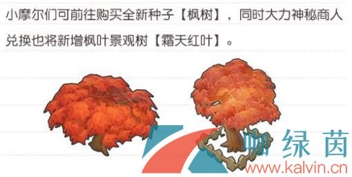 《摩尔庄园手游》枫树种子获取攻略