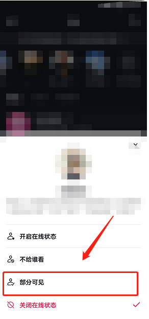 《抖音》在线状态部分可见设置教程