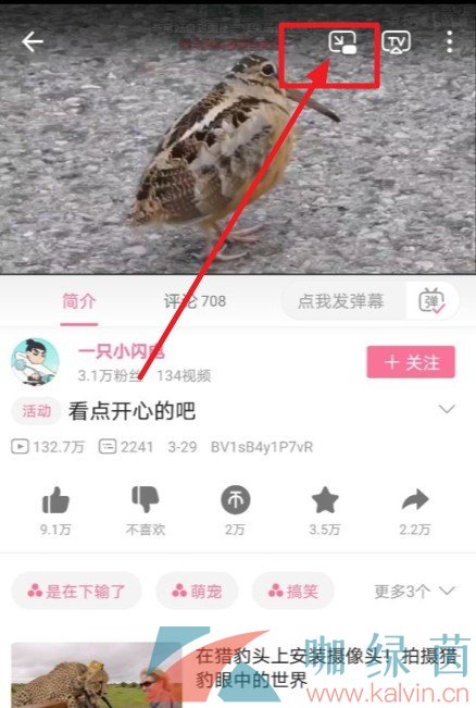 《哔哩哔哩》设置小窗口播放教程分享