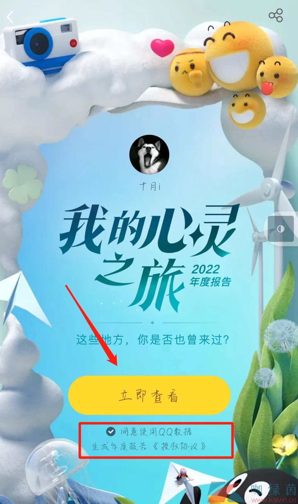 《手机QQ》2022年度报告查看方法介绍